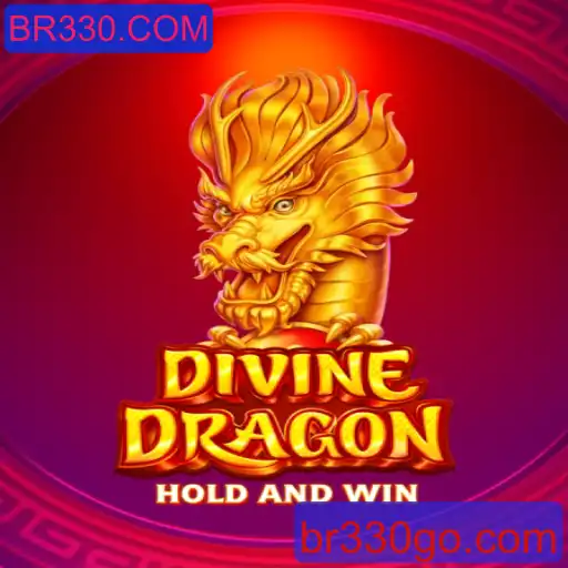 DivineDragon: Explorando o Mundo de BR330.COM