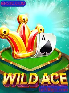 Explorando o Mundo de WildAce no BR330.COM